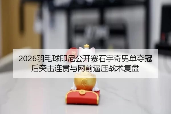 2026羽毛球印尼公开赛石宇奇男单夺冠后突击连贯与网前逼压战术复盘